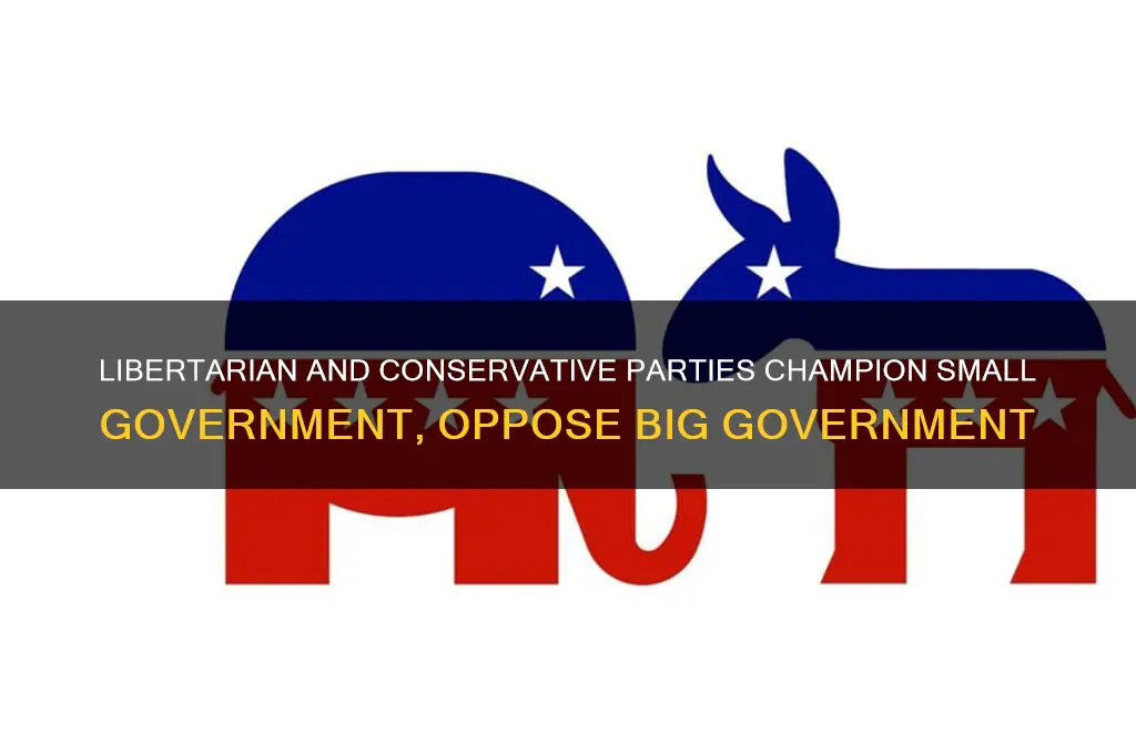 what political party is against big government