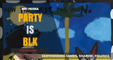 Unveiling the Political Affiliation of BLK: A Comprehensive Analysis