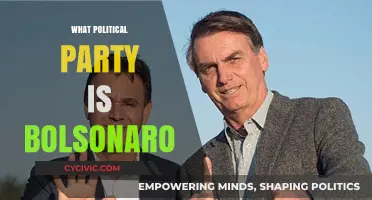 Jair Bolsonaro's Political Affiliation: Unraveling His Party and Ideology