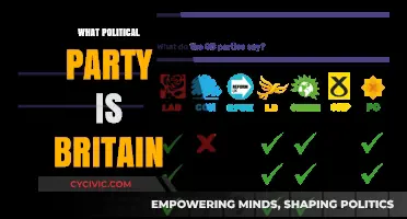 Understanding Britain's Political Landscape: Which Party Dominates the Nation?