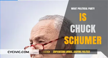 Chuck Schumer's Political Affiliation: Unraveling His Party Loyalty and Influence