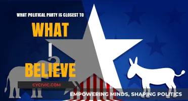 Finding Your Political Match: Aligning Beliefs with the Right Party