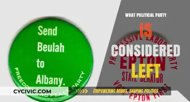 Understanding Left-Wing Politics: Which Party Represents Progressive Ideals?