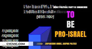 Which Political Party Strongly Supports Israel's Interests and Policies?