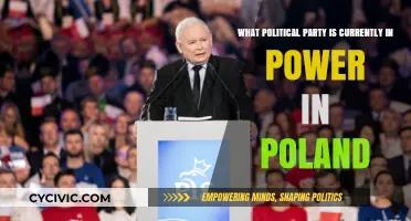 Poland's Current Ruling Party: Law and Justice's Governance Explained