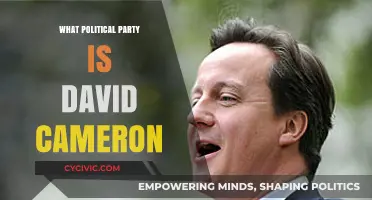 David Cameron's Political Affiliation: Unraveling His Party Loyalty