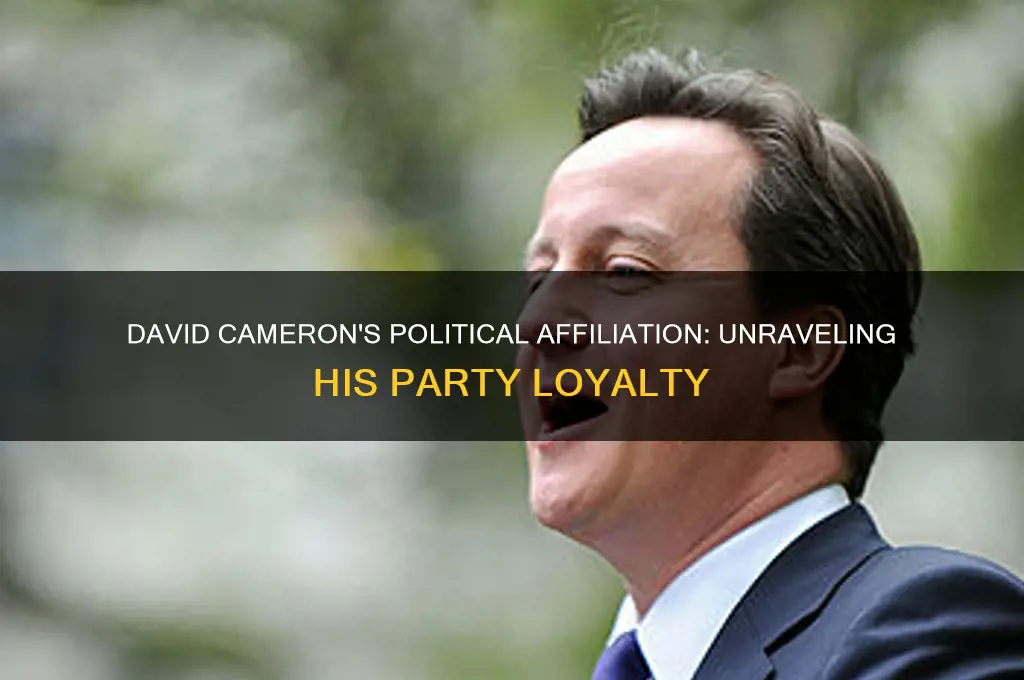 what political party is david cameron