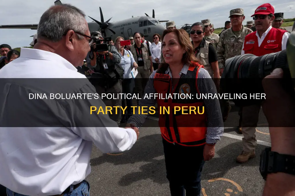 what political party is dina boluarte