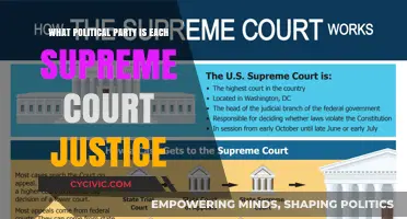 Supreme Court Justices' Political Affiliations: Unveiling Party Alignments