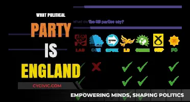 Understanding England's Political Landscape: Which Party Dominates the Nation?