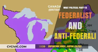 Federalists vs. Anti-Federalists: Understanding America's Political Party Divide