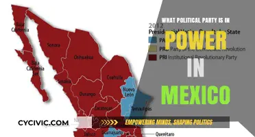 Mexico's Ruling Party: Understanding the Current Political Landscape