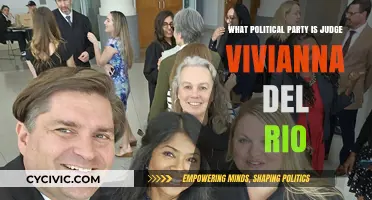 Judge Vivianna Del Rio's Political Party Affiliation Explored