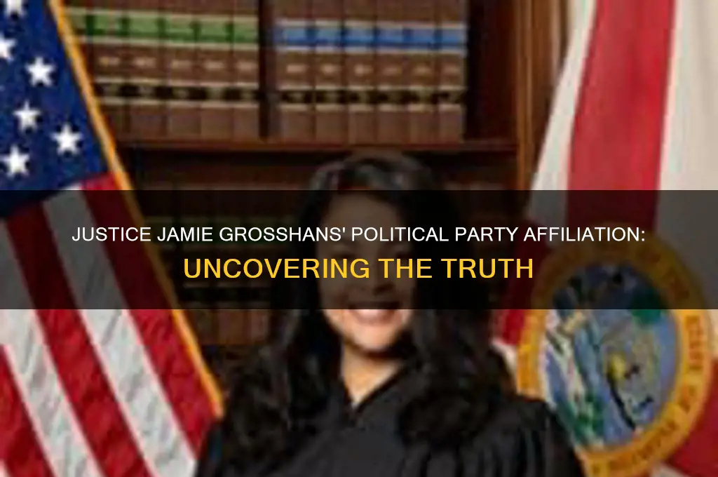 what political party is justice jamie grosshans