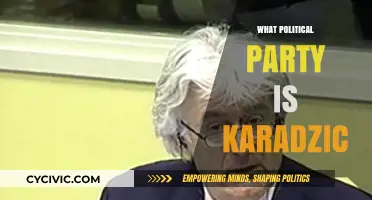 Unveiling Radovan Karadžić's Political Affiliation: A Comprehensive Analysis