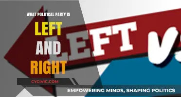 Understanding Left and Right: A Guide to Political Party Ideologies