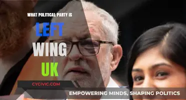 Understanding the UK's Left-Wing Political Parties: A Comprehensive Guide
