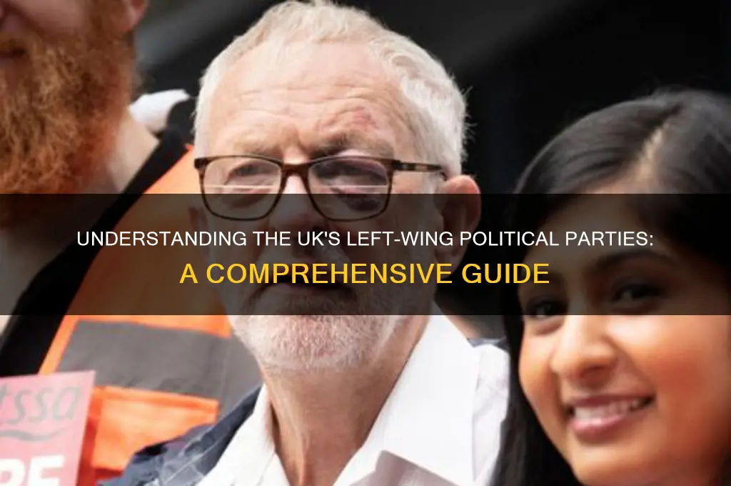what political party is left wing uk
