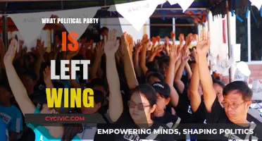 Understanding Left-Wing Politics: Which Political Parties Align with Progressive Ideals?
