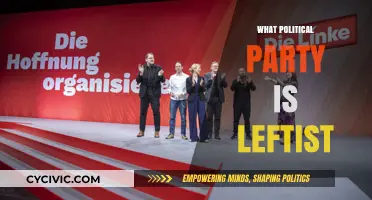 Understanding Leftist Political Parties: Ideologies, Goals, and Global Influence