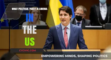 Understanding Liberalism: Which US Political Party Embraces Liberal Ideals?
