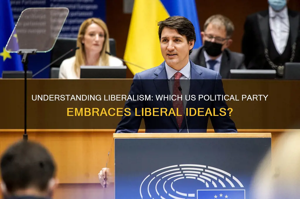 what political party is liberal in the us