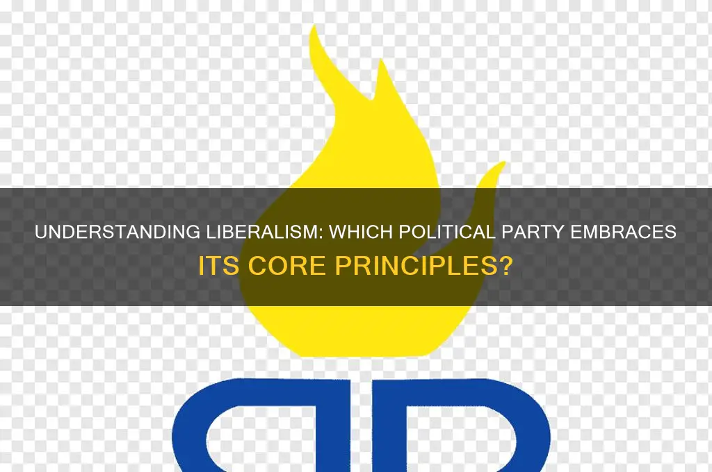 what political party is liberalism