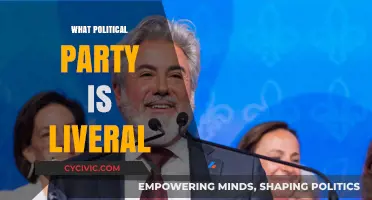 Understanding Liberalism: Which Political Party Truly Embraces Liberal Ideals?