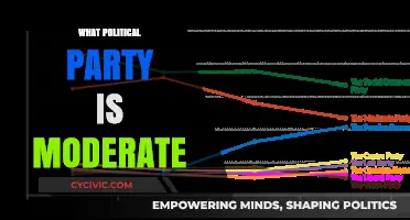 Exploring the Moderate Political Party: Centrist Policies and Platforms