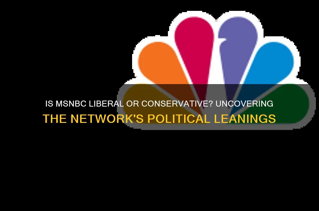 what political party is msnbc