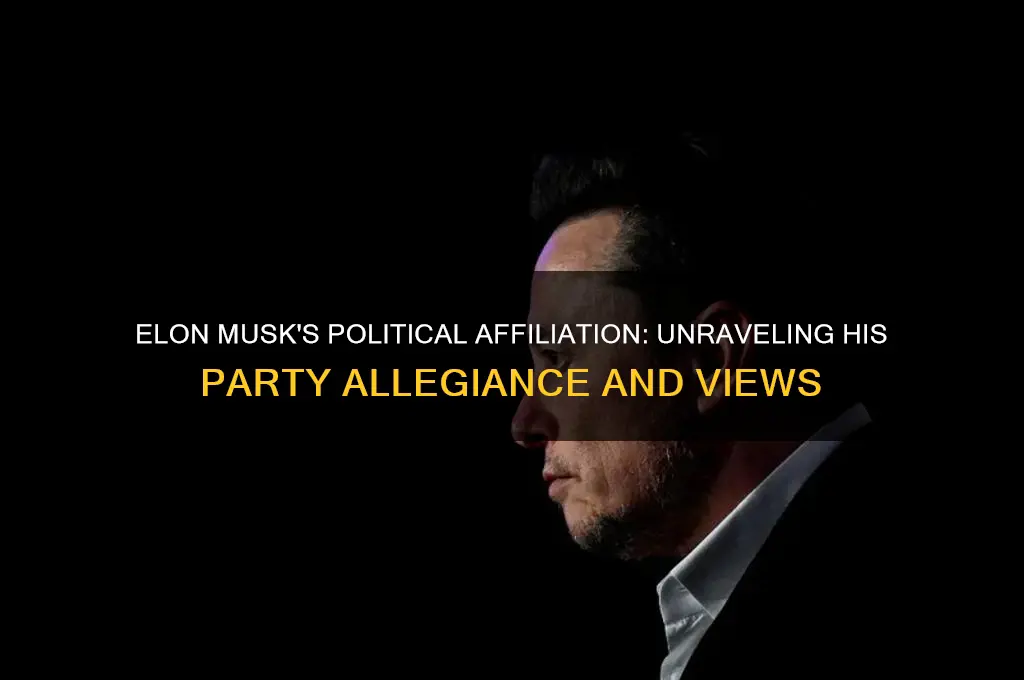 what political party is musk
