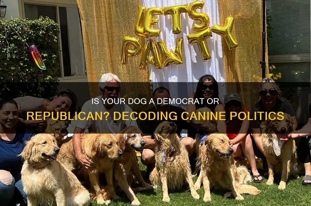 what political party is my dog