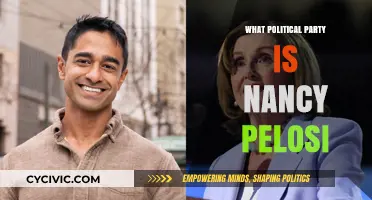 Nancy Pelosi's Political Affiliation: Unraveling Her Party Membership