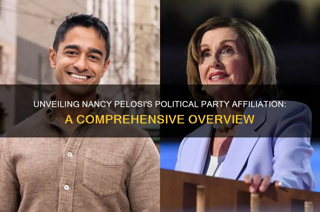 what political party is nancy posili