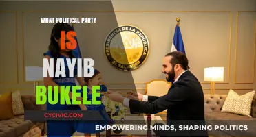 Nayib Bukele's Political Affiliation: Unraveling His Party and Ideology