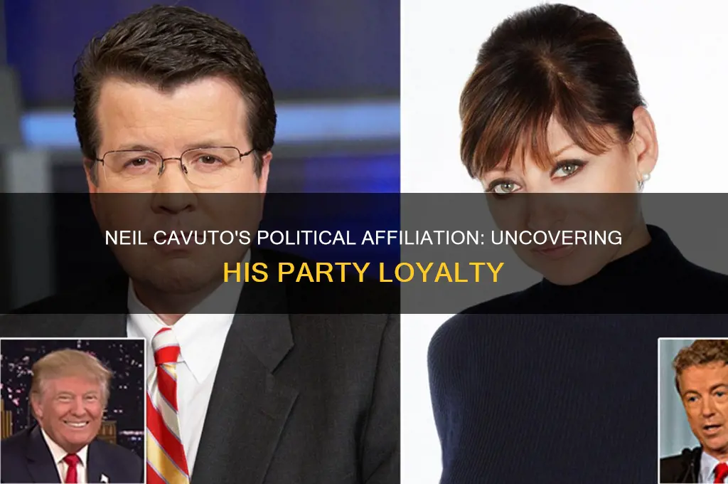 what political party is neil cavuto