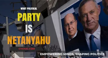 Netanyahu's Political Affiliation: Unraveling His Party and Ideology