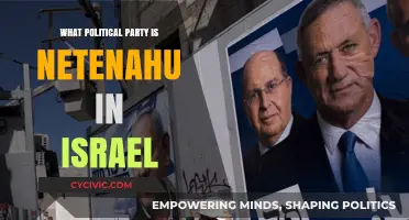 Netanyahu's Political Party: Understanding Likud's Role in Israeli Politics