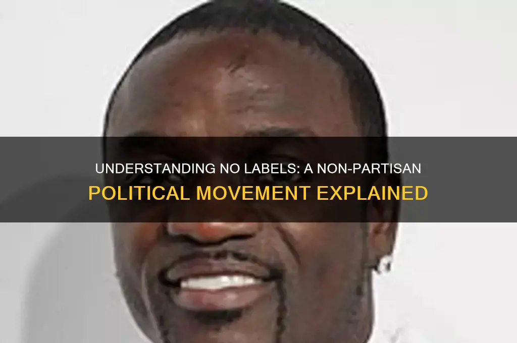 what political party is no labels