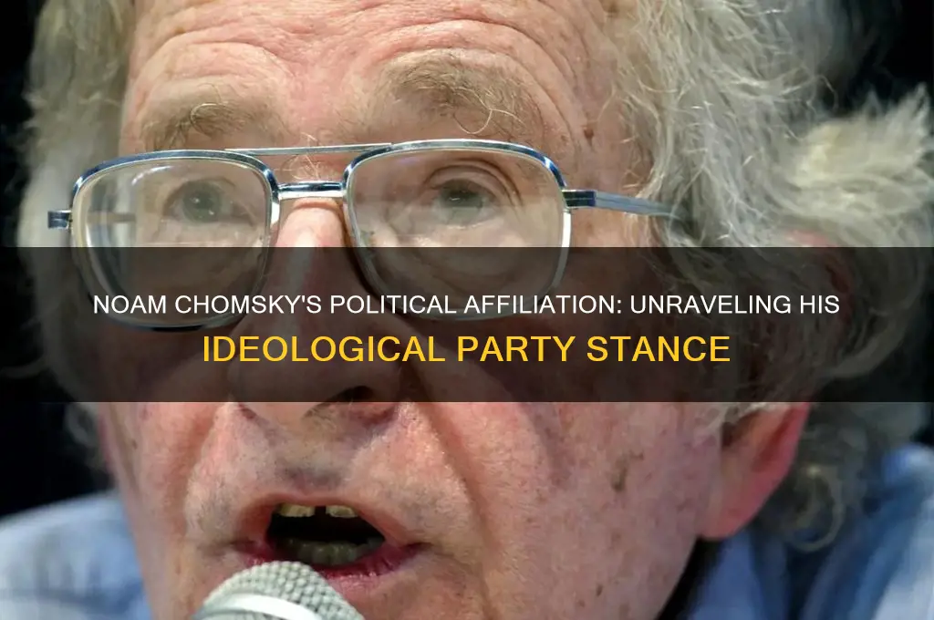 what political party is noam chomsky