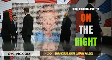 Understanding Right-Wing Politics: Which Political Party Aligns with Conservative Ideals?