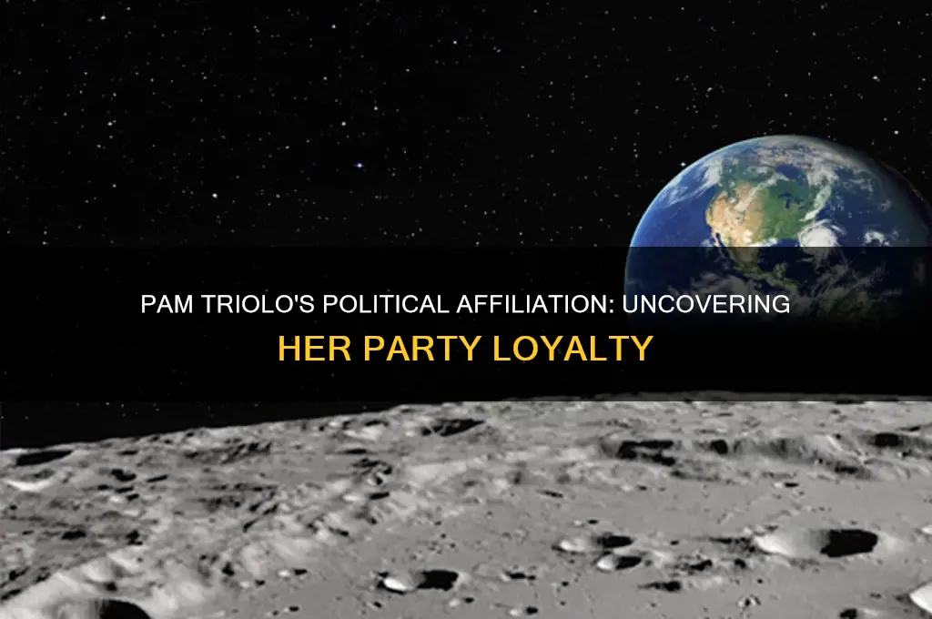 what political party is pam triolo