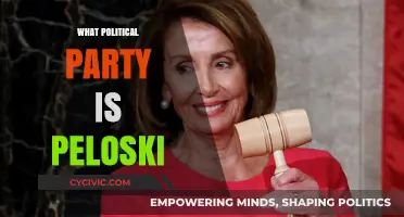 Unraveling the Political Affiliation of Peloski: Which Party Does She Represent?