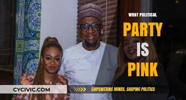 Exploring the Political Party Associated with the Color Pink