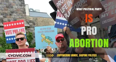Which Political Party Supports Abortion Rights: A Comprehensive Guide