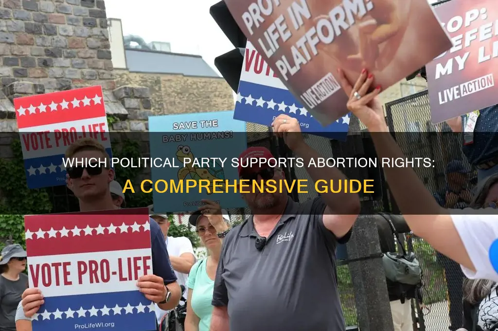 what political party is pro abortion