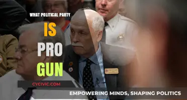 Which Political Party Strongly Supports Gun Rights in America?