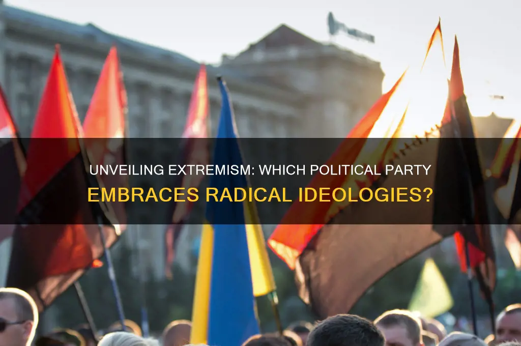 what political party is radical