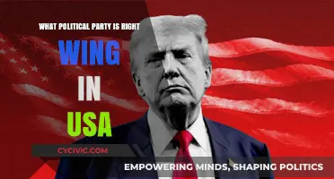 Understanding Right-Wing Politics: Which US Party Fits the Bill?