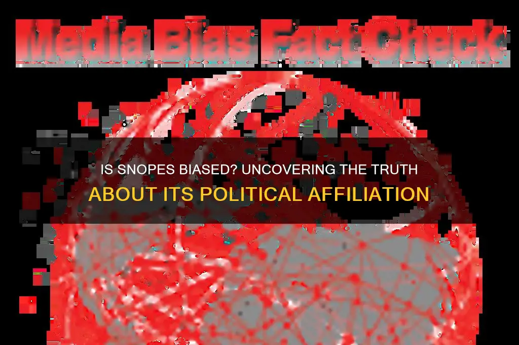 what political party is snopes affliated to